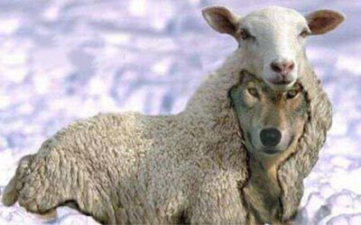 አቤት መመሳሰል!